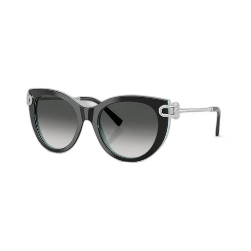 Cat-Eye Sunglasses