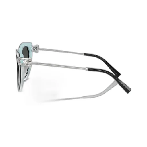 Cat-Eye Sunglasses
