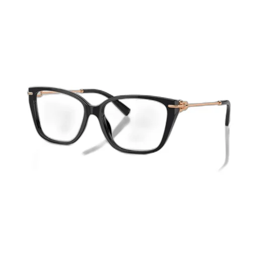Square Eyeglasses