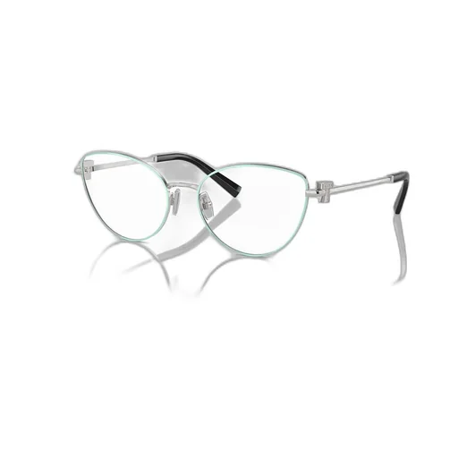 Cat-Eye Glasses