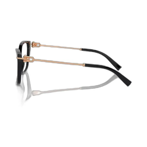 Square Eyeglasses