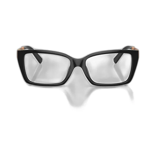 Eyeglasses