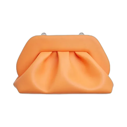 Clutch Bag