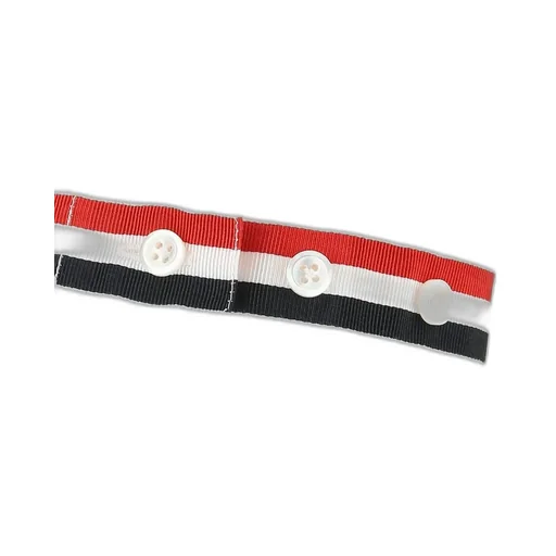 Classic Button-Down Shirt With Tricolor Stripes