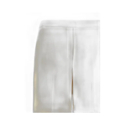 Wide-Leg Trousers