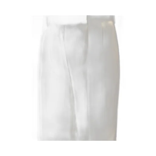 Pleated Trousers