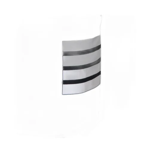Pencil Skirt With Stripes