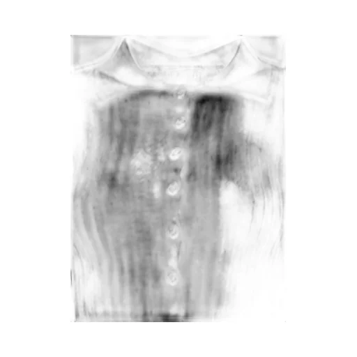 Long Sleeve Polo Shirt