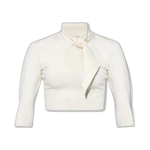 Ribbed Knit Cropped Sweater With Tie Neck