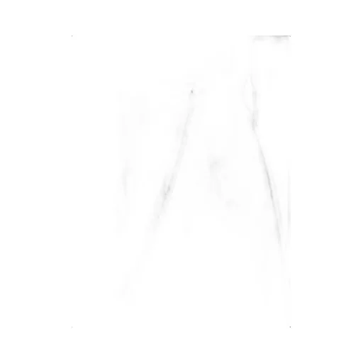 High-Waisted Pleated Trousers