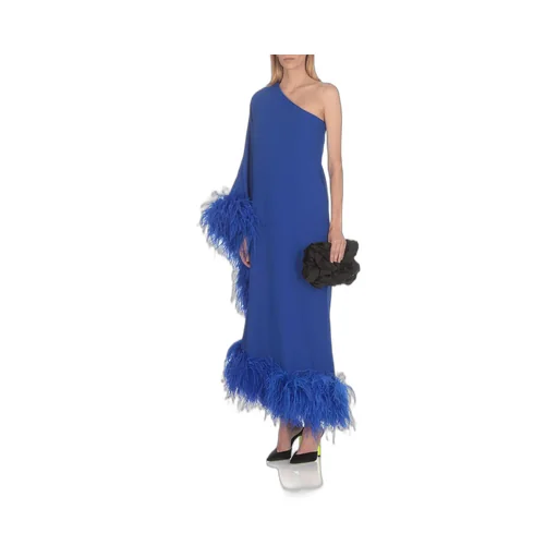One-Shoulder Feather-Trimmed Gown