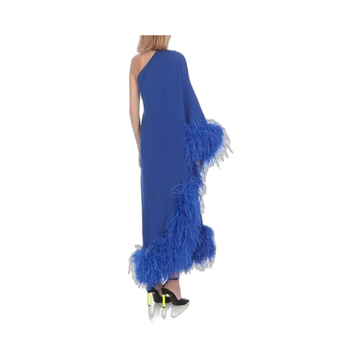 One-Shoulder Feather-Trimmed Gown