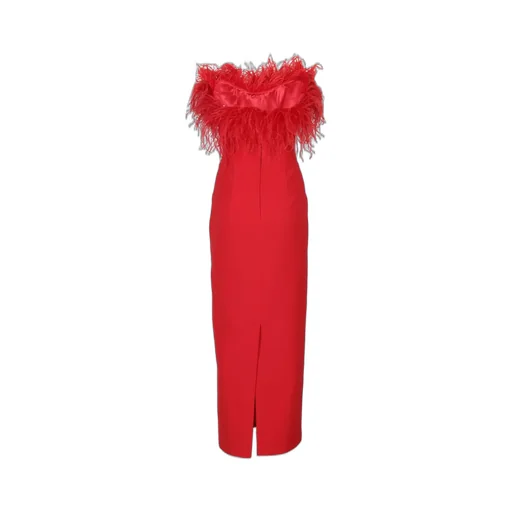 Feather-Trimmed Gown