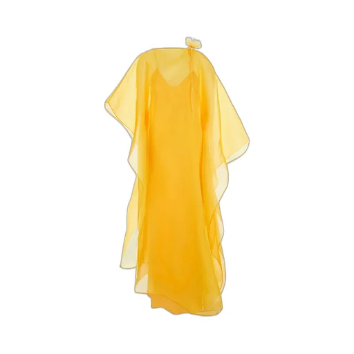Cape Gown