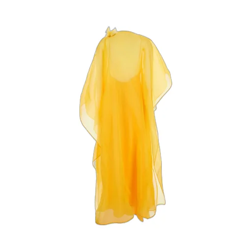 Cape Gown