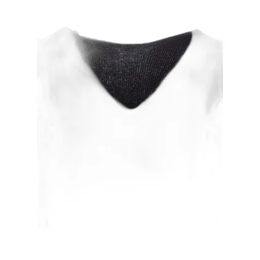 V-Neck Top With Voluminous Lace Sleeves