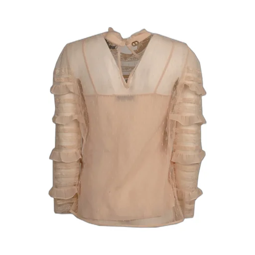 Ruffled Sheer Blouse