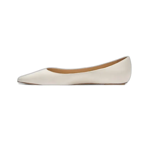 Pointed Toe Flats