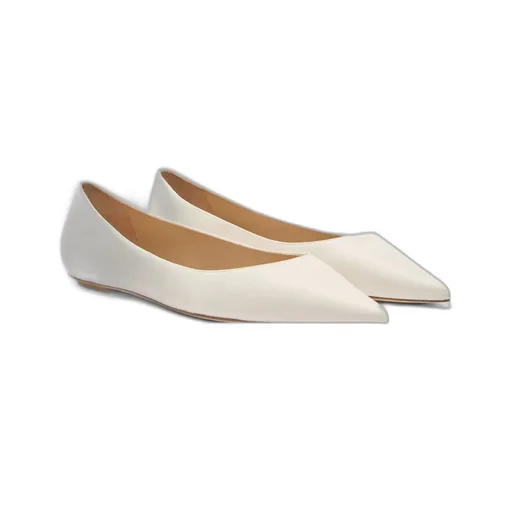 Pointed Toe Flats