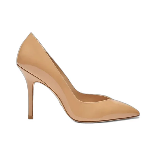Pointed Toe Pump