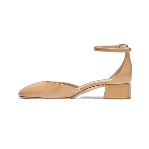Pointed Toe Ankle Strap Flats