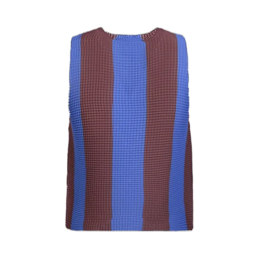 Striped Pleated Top