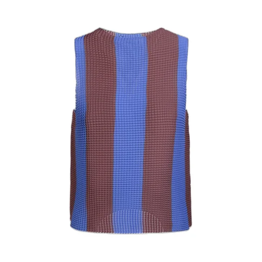 Striped Pleated Top