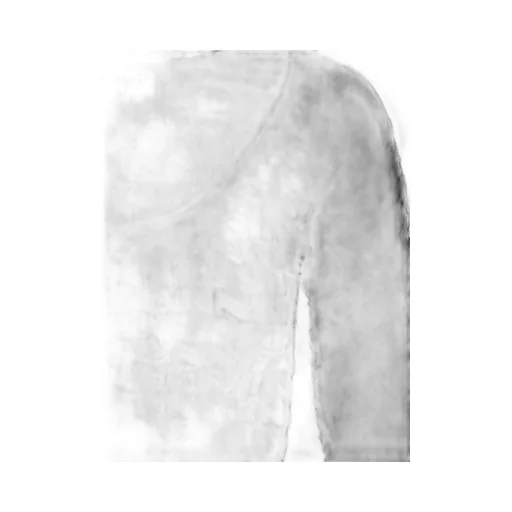Long Sleeve Cropped Top