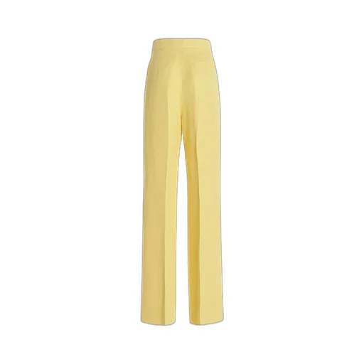 High-Waisted Pleated Trousers