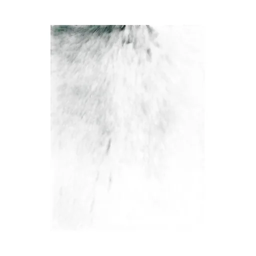 Faux Fur Coat