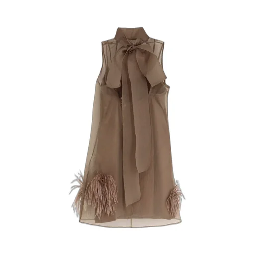 Sheer Feather-Trimmed Dress