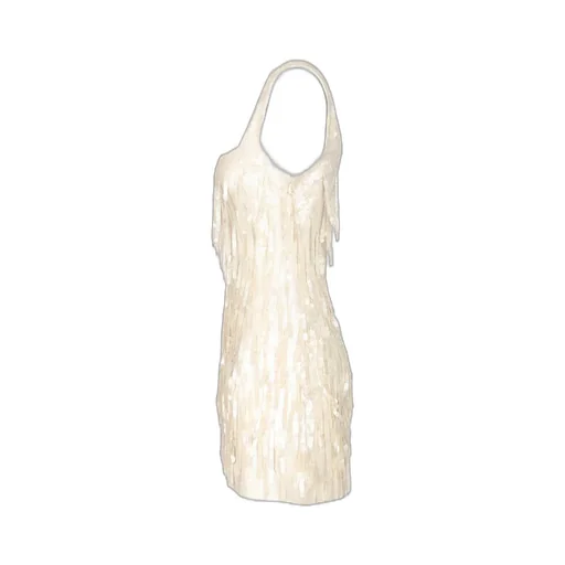Sequin Fringe Mini Dress