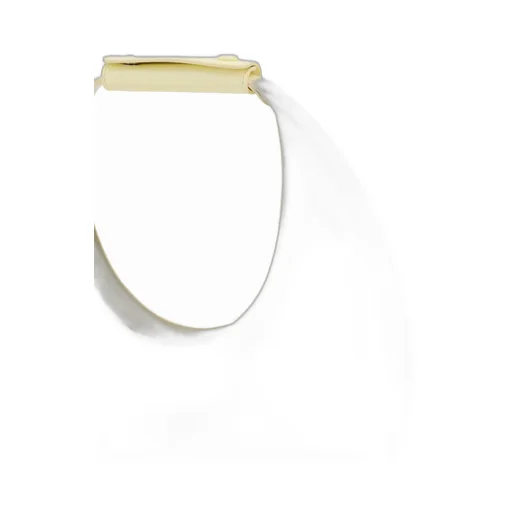 Moon Bag