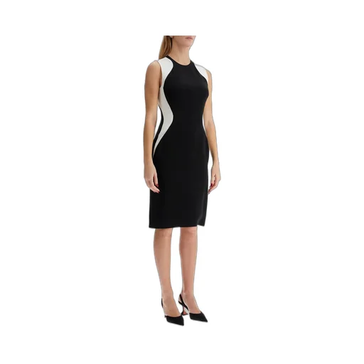 Sleeveless Sheath Dress