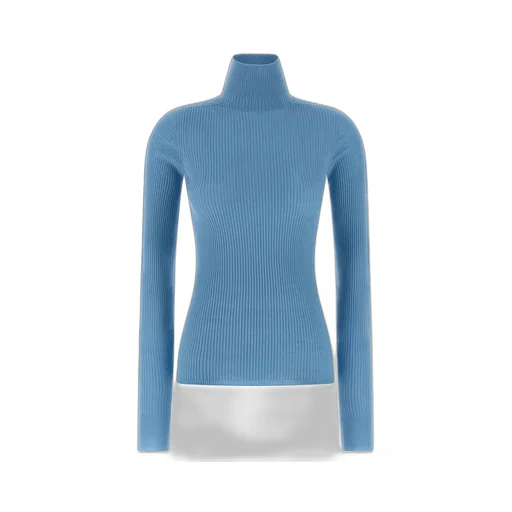 Ribbed Turtleneck Sweater