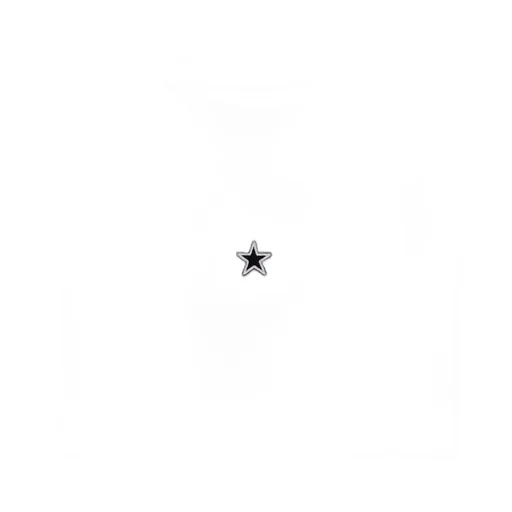 T-Shirt With Star Logo