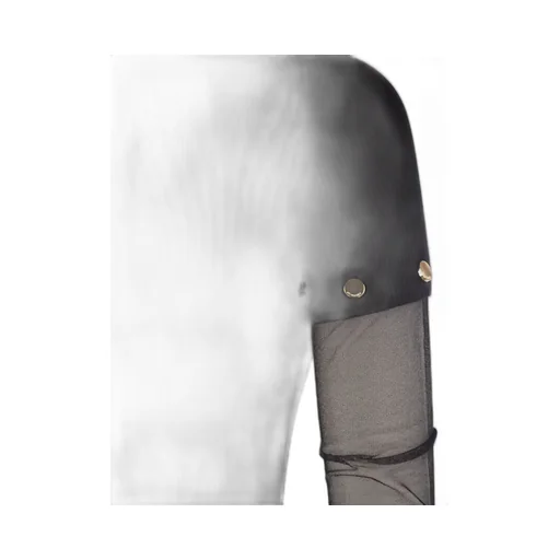 Long Sleeve Top With Mesh Sleeves