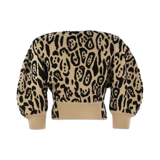 Leopard Print Cropped Sweater