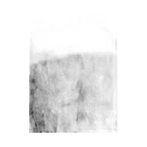 Mesh Panel Knit Top