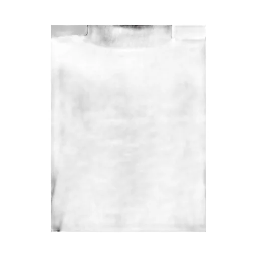 Sleeveless Turtleneck Top