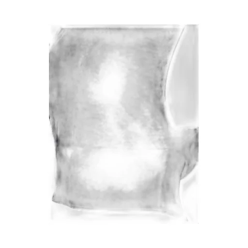 Sleeveless Turtleneck Top