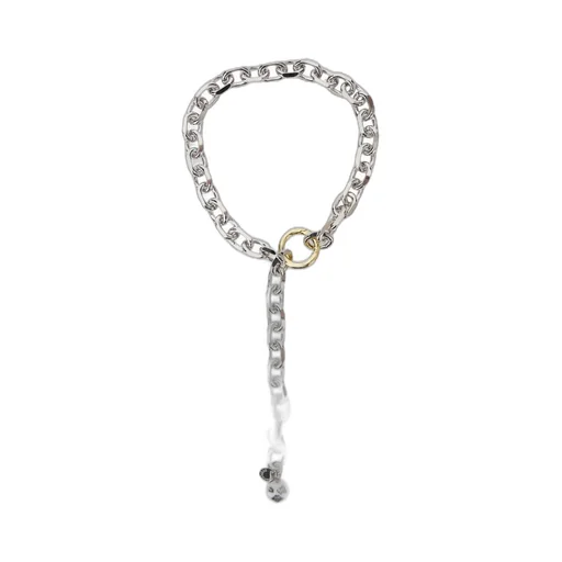 Chain Necklace With Charm