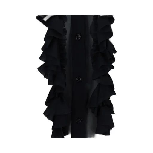 Sheer Ruffle Shirt