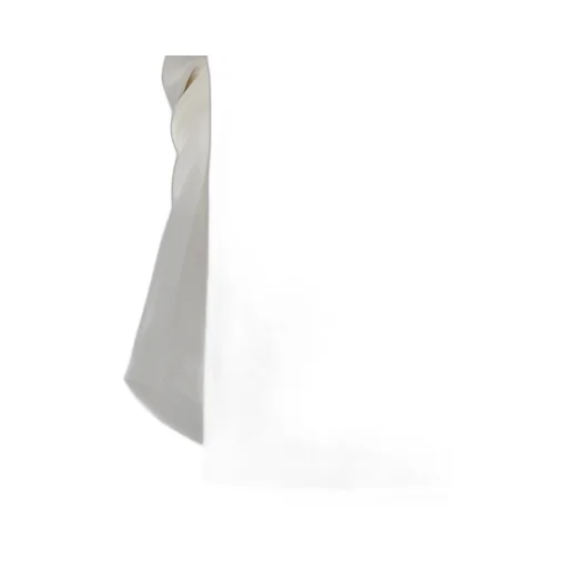 Asymmetric Strapless Top