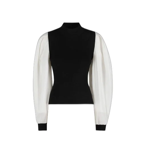 Mock Neck Top With Balloon Sleeves