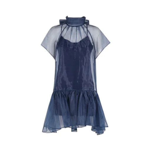 Sheer Layered Dress