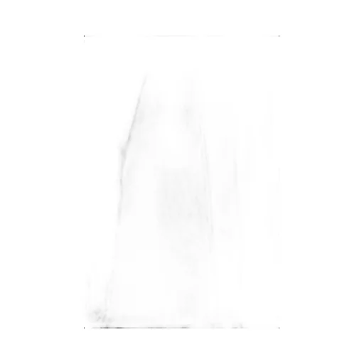 Sheer Tulle Dress