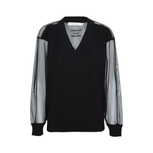 V-Neck Sweater With Sheer Sleeves