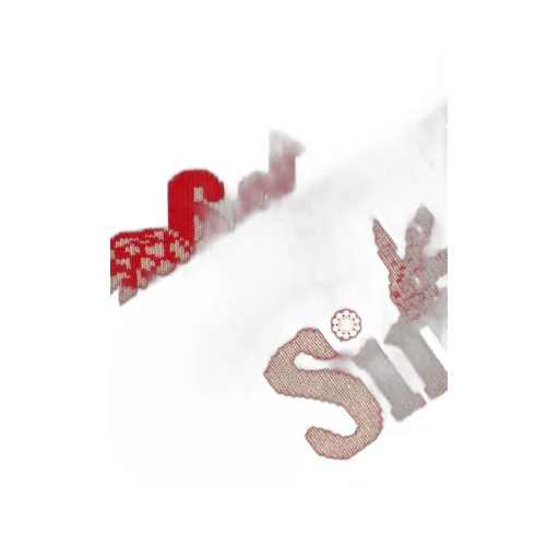 Logo Bandana