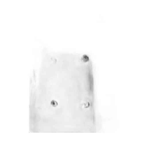 Double-Breasted Wool Coat